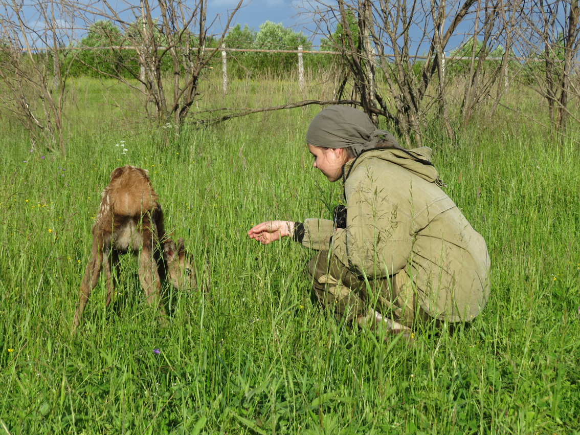 Expeditions Kostroma