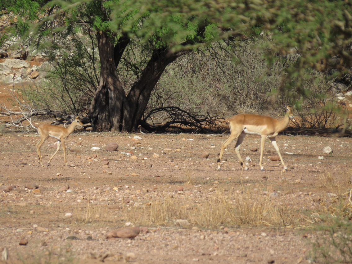 Expedition Namibia