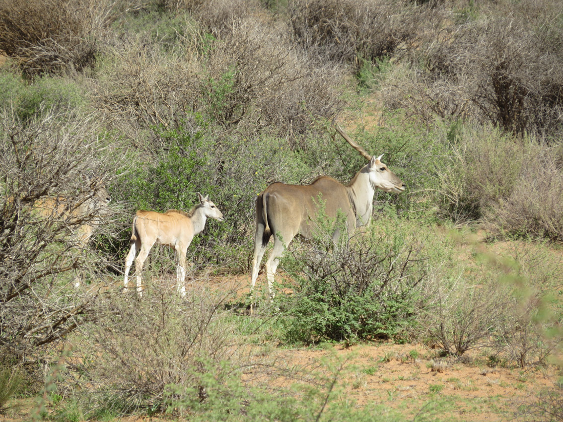 Expedition Namibia